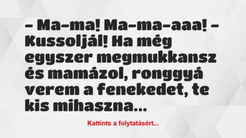 Vicc: – Ma-ma! Ma-ma-aaa!
– Kussoljál! Ha még egyszer megmukkansz és…