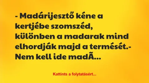 Vicc: – Madárijesztő kéne a kertjébe szomszéd, különben a madarak mind…
