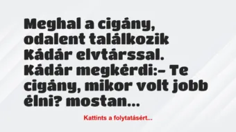 Vicc: Meghal a cigány, odalent találkozik Kádár elvtárssal. Kádár… Vicc: Meghal a cigány, odalent találkozik Kádár elvtárssal. Kádár…