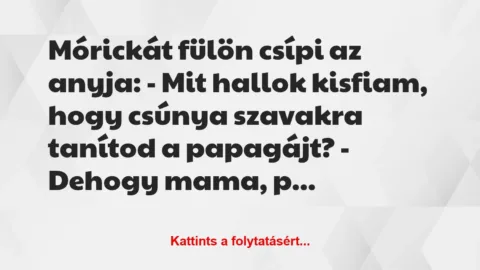 Vicc: Mórickát fülön csípi az anyja:
– Mit hallok kisfiam, hogy csúnya…