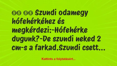 Vicc: 
		  
		  Szundi odamegy hófehérkéhez és…
