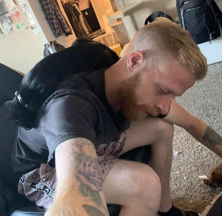 Egy macska a gazdája hátán elaludva