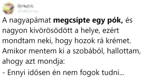 13 jófej nagyszülő, aki ha nem lenne, akkor ki kellene 13 Vagány nagyszülő, akik új színt visznek az unokák életébe