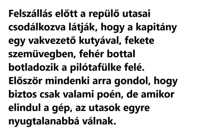 Felszállás előtt a repülő utasai csodálkozva látják, hogy a kapitány A pilóta vakvezető kutyával lép be a gépbe – Utasok riadalma a repülőn