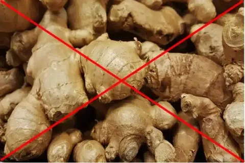 Figyelem! Nem mindenki fogyaszthat gyömbért! Erről mindenképp tudnod kell! Gyömbérfogyasztás: Ki vigyázzon és miért?