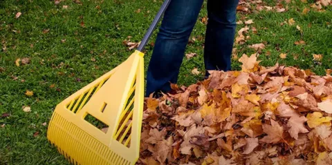 Ki ne dobd az ősszel lehulló faleveleket: 9 hasznos tipp, Ki ne dobd az ősszel lehulló faleveleket: 9 hasznos tipp, amire…