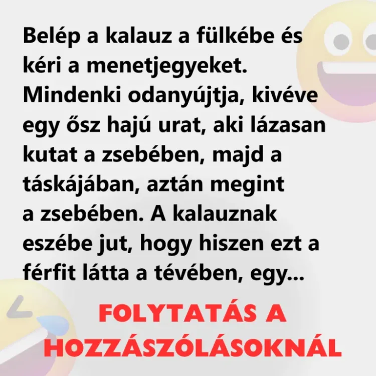 VICC: A szórakozott professzor nem találja a menetjegyét VIDÁMSÁG: Az elvont professzor nem találja a vonatjegyét