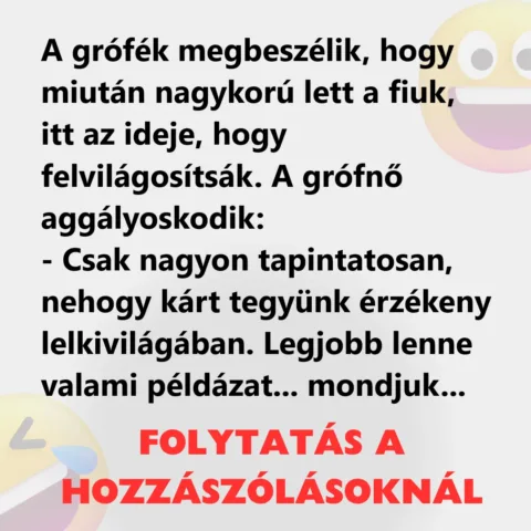Vicc: A grófék megbeszélik, hogy miután nagykorú lett a fiuk, itt az ideje,…
