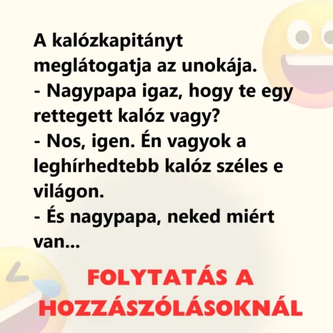 Vicc: A kalózkapitányt meglátogatja az unokája