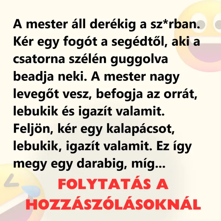 Vicc: A mester áll derékig a sz*rban Vicc: A mester áll derékig a sz*rban