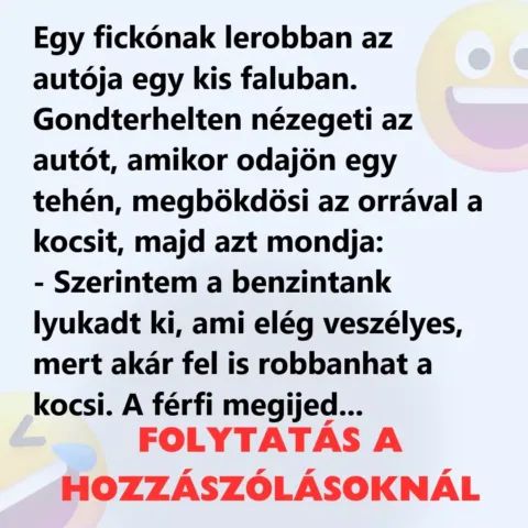 Vicc: Egy fickónak lerobban az autója egy kis faluban