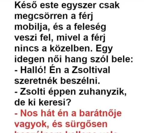Vicc: Humor: Megcsörrent a férj telefonja, de a felesége vette fel -…