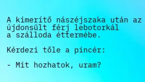 Vicc: VICC: A kimerítő nászéjszaka után az újdonsült férj lebotorkál a…