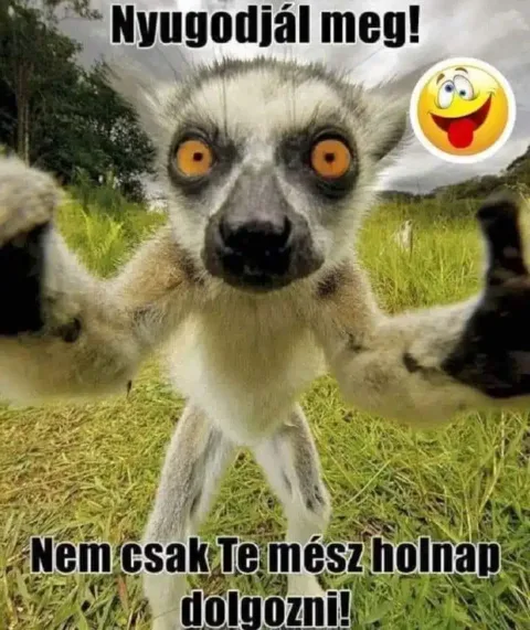 Vicces képek – 1728241141