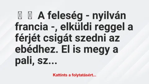 Vicc: 
	    	    A feleség – nyilván francia -, elküldi reggel a férjét…