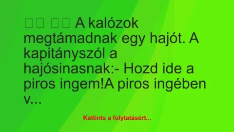 Vicc: 
		  
		  A kalózok megtámadnak egy hajót. A…