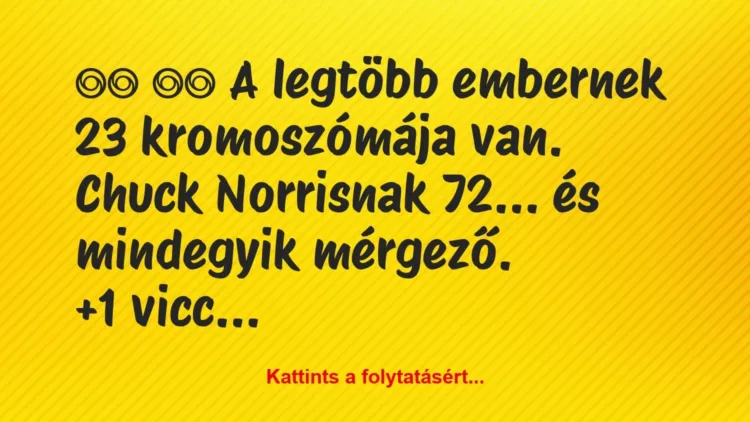Vicc:
A legtöbb embernek 23 kromoszómája van. Chuck… Vicc:
A legtöbb embernek 23 kromoszómája van. Chuck…