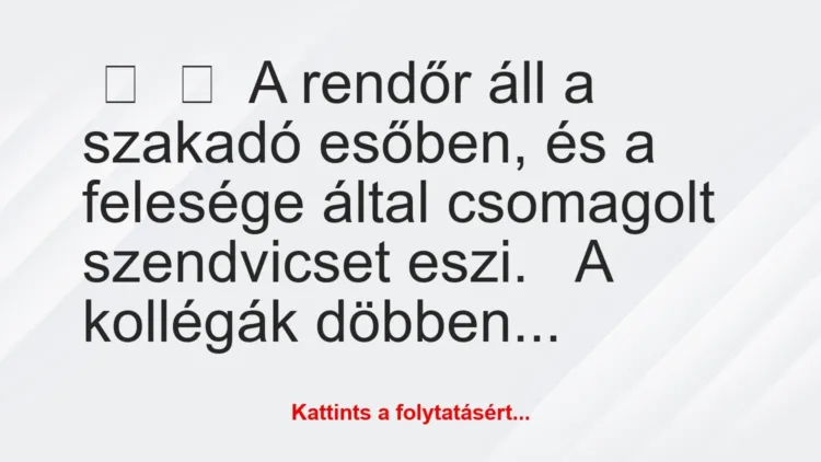 Vicc: A rendőr áll a szakadó esőben, és a felesége által…