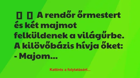 Vicc: 
	    	    A rendőr őrmestert és két majmot felküldenek a…