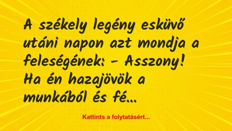 Vicc: A székely legény esküvő utáni napon azt mondja a feleségének:
-… Vicc: A székely legény esküvő utáni napon azt mondja a feleségének:
-…