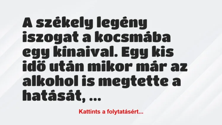 Vicc: A székely legény iszogat a kocsmába egy kínaival. Egy kis idő után… Vicc: A székely legény iszogat a kocsmába egy kínaival. Egy kis idő után…
