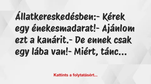 Vicc: Állatkereskedésben:

– Kérek egy énekesmadarat!

– Ajánlom ezt…