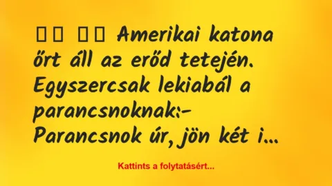 Vicc: 
		  
		  Amerikai katona őrt áll az erőd tetején….