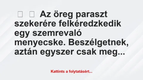 Vicc: 
	    	    Az öreg paraszt szekerére felkéredzkedik egy szemrevaló…