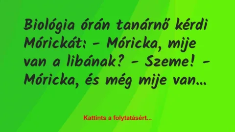 Vicc: Biológia órán tanárnő kérdi Mórickát:
– Móricka, mije van a…