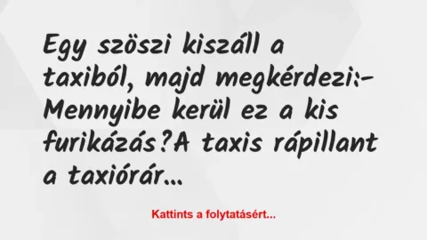Vicc: Egy szöszi kiszáll a taxiból, majd megkérdezi:

– Mennyibe kerül…