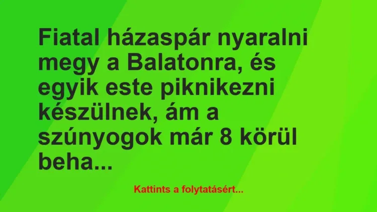 Vicc: Fiatal házaspár nyaralni megy a Balatonra, és egyik este piknikezni… Vicc: Fiatal házaspár nyaralni megy a Balatonra, és egyik este piknikezni…