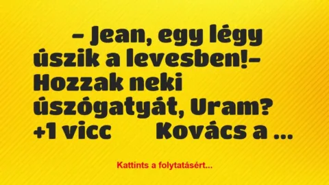 Vicc: 
		  
		  – Jean, egy légy úszik a levesben!- Hozzak…