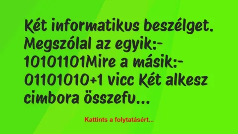 Vicc: Két informatikus beszélget. Megszólal az egyik:

-…
