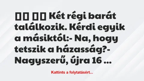 Vicc: 
		  
		  Két régi barát találkozik. Kérdi egyik a…