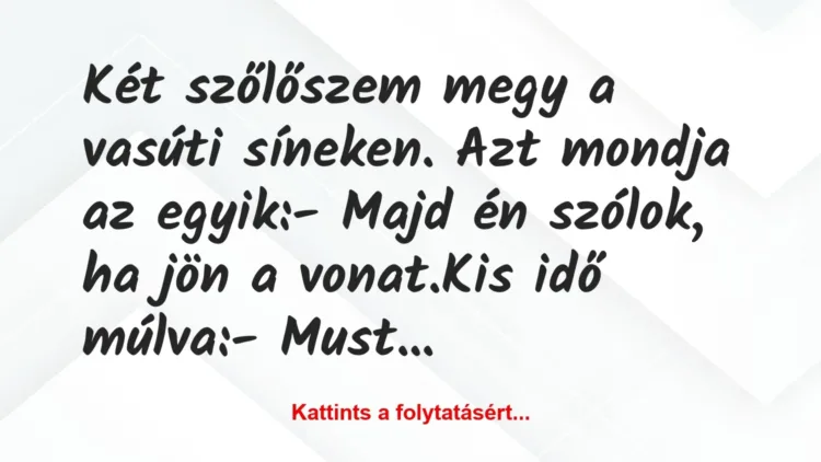 Vicc: Két szőlőszem megy a vasúti síneken. Azt mondja az egyik:
– Majd… Vicc: Két szőlőszem megy a vasúti síneken. Azt mondja az egyik:
– Majd…