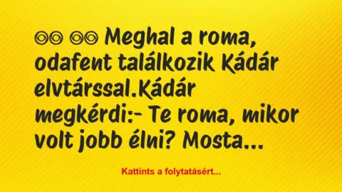 Vicc: 
		  
		  Meghal a roma, odafent találkozik Kádár…