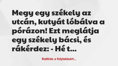 Vicc: Megy egy székely az utcán, kutyát lóbálva a pórázon!
Ezt meglátja egy… Vicc: Megy egy székely az utcán, kutyát lóbálva a pórázon!
Ezt meglátja egy…
