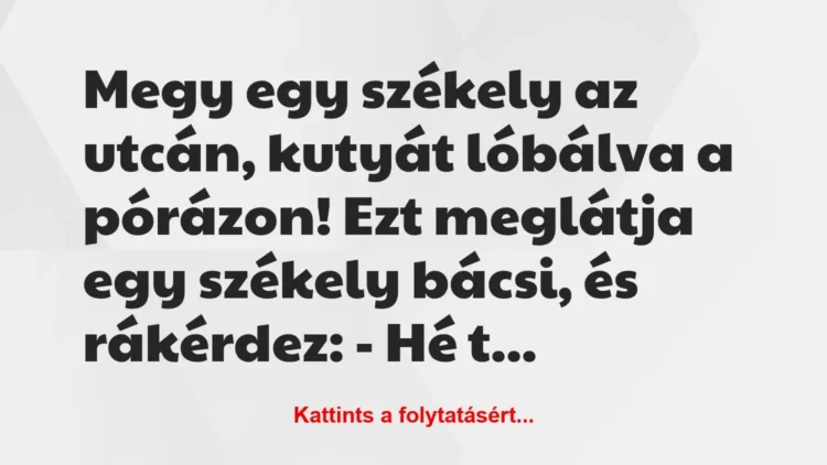 Vicc: Megy egy székely az utcán, kutyát lóbálva a pórázon!
Ezt meglátja egy… Vicc: Megy egy székely az utcán, kutyát lóbálva a pórázon!
Ezt meglátja egy…