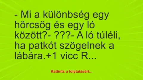 Vicc: – Mi a különbség egy hörcsög és egy ló között?

– ???

– A ló…