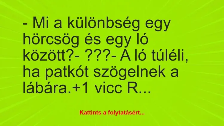 Vicc: – Mi a különbség egy hörcsög és egy ló között?
– ???
– A ló… Vicc: – Mi a különbség egy hörcsög és egy ló között?
– ???
– A ló…