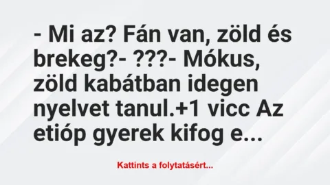 Vicc: – Mi az? Fán van, zöld és brekeg?

– ???

– Mókus, zöld…