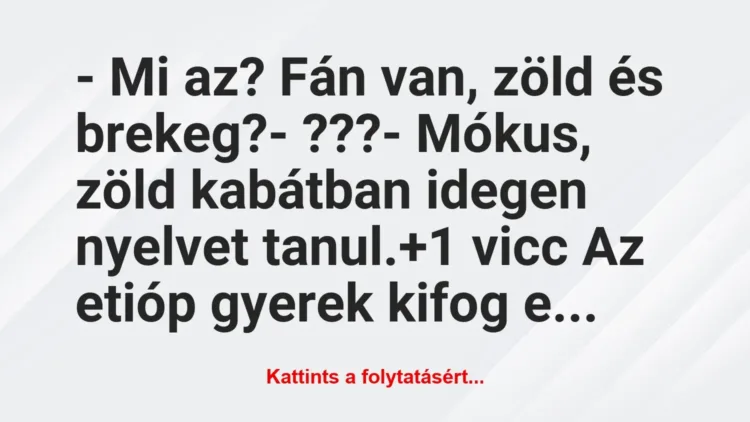 Vicc: – Mi az? Fán van, zöld és brekeg?
– ???
– Mókus, zöld… Vicc: – Mi az? Fán van, zöld és brekeg?
– ???
– Mókus, zöld…