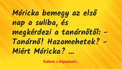 Vicc: Móricka bemegy az első nap a suliba, és megkérdezi a tanárnőtől:
-…