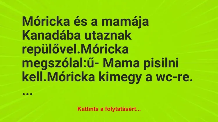 Vicc: Móricka és a mamája Kanadába utaznak repülővel.
Móricka… Vicc: Móricka és a mamája Kanadába utaznak repülővel.
Móricka…