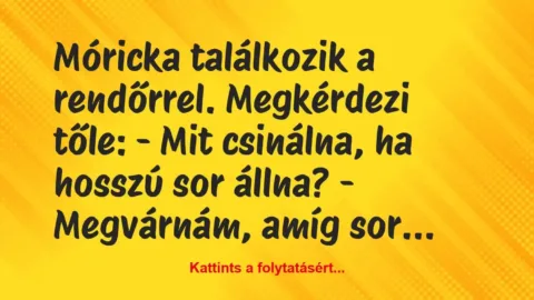 Vicc: Móricka találkozik a rendőrrel. Megkérdezi tőle:
– Mit csinálna, ha…