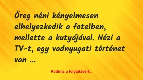 Vicc: Öreg néni kényelmesen elhelyezkedik a fotelben, mellette a kutyájával….
