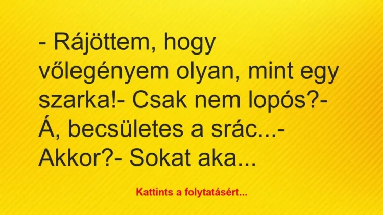 Vicc: – Rájöttem, hogy vőlegényem olyan, mint egy szarka!
– Csak nem… Vicc: – Rájöttem, hogy vőlegényem olyan, mint egy szarka!
– Csak nem…