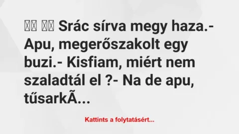 Vicc: 
		  
		  Srác sírva megy haza.- Apu, megerőszakolt egy…