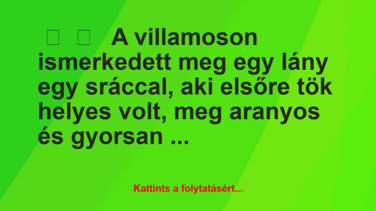 Vicces történet:
A villamoson ismerkedett meg egy lány … Vicces történet:
A villamoson ismerkedett meg egy lány …