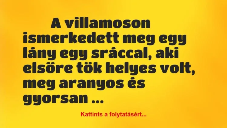Vicces történet:
A villamoson ismerkedett meg egy lány … Vicces történet:
A villamoson ismerkedett meg egy lány …
